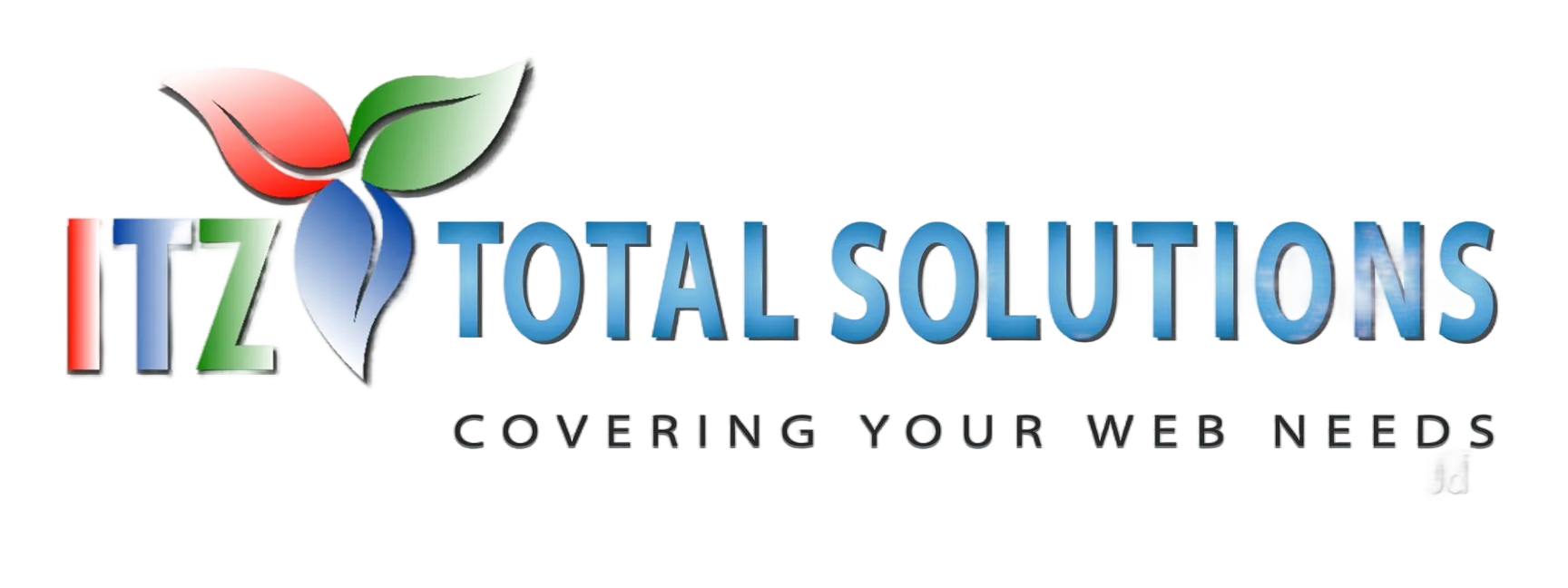 ITZ Total Solutions — Covering Your Web Needs